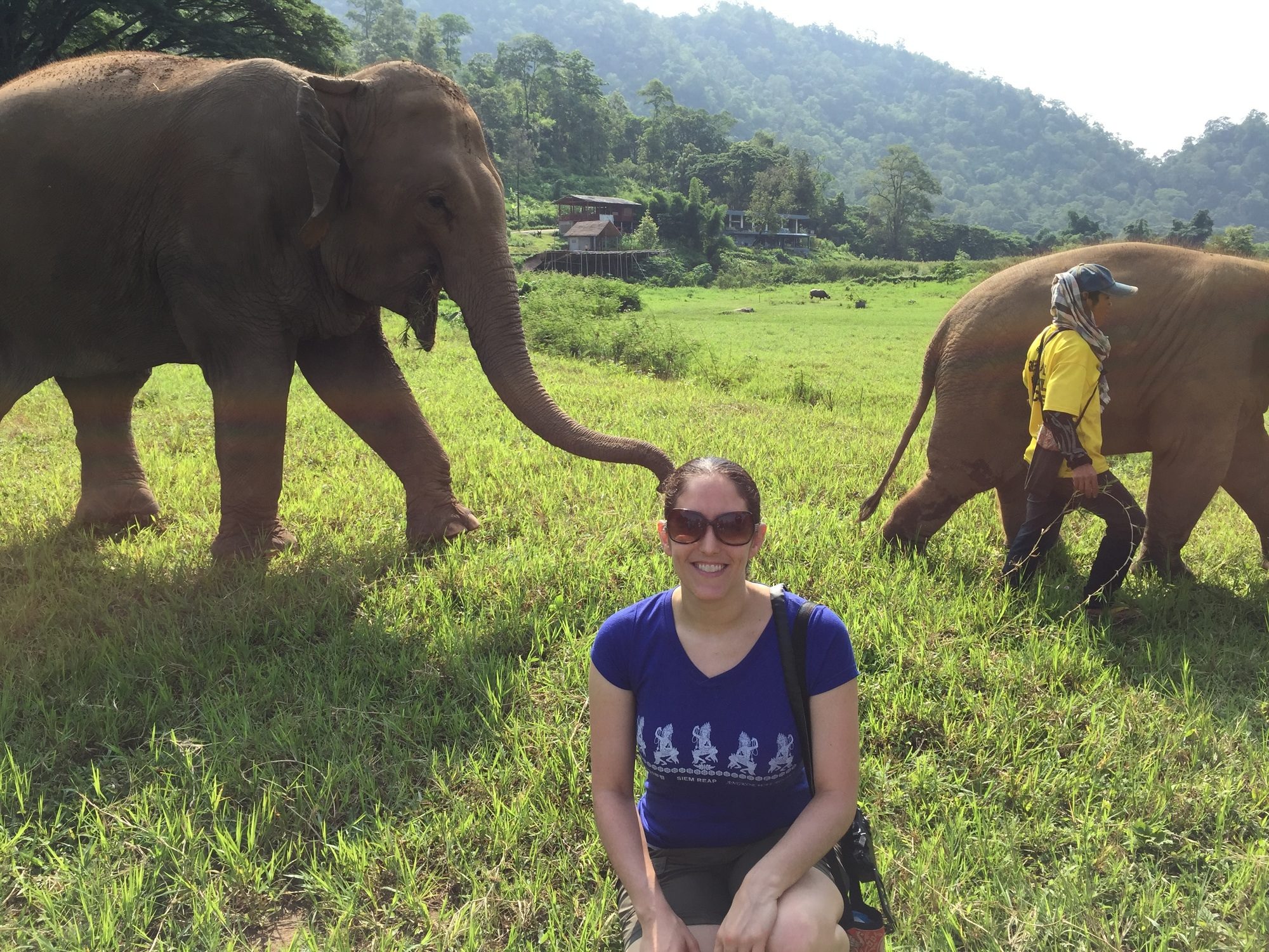 Thailand Elephant Nature Park