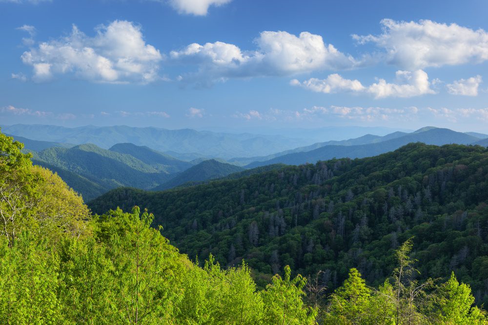 Great Smoky Mountains NP