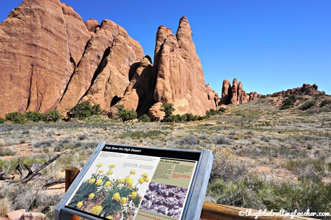 how to plan 1 awesome day at arches national park