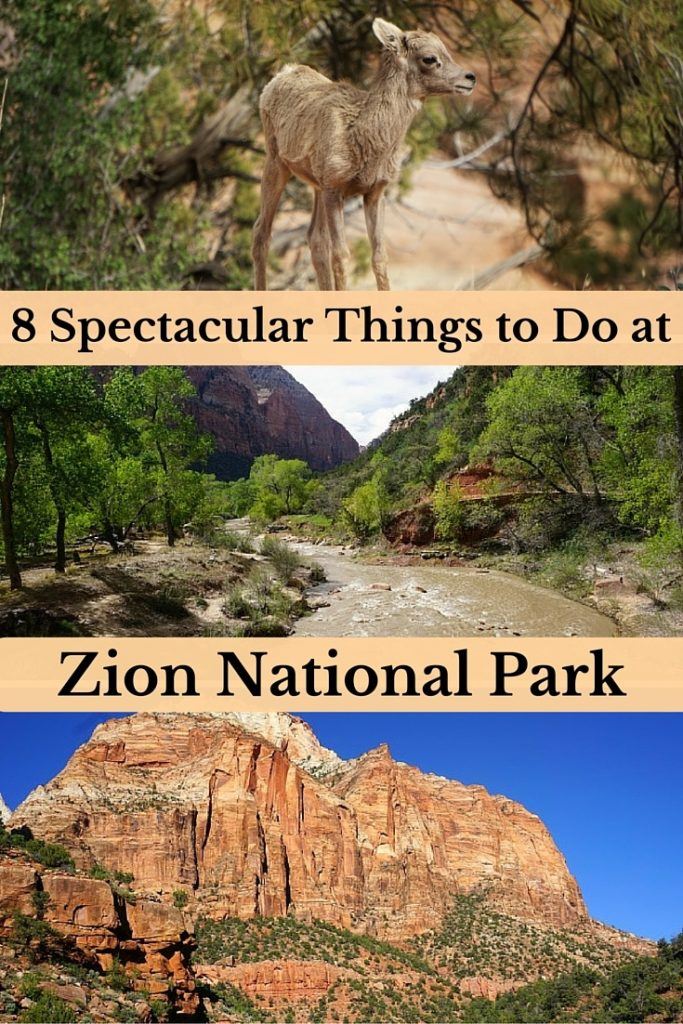8 Spectacular Things to Do at Zion National Park