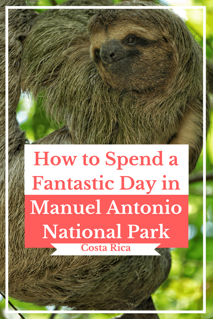 How to Spend a Fantastic Day in Manuel Antonio National Park - No visit to Costa Rica is complete without a stop on Manuel Antonio. See Costa Rican animals and enjoy gorgeous beaches in the National Park. #travel #costarica #Wildlife #manuelantonio #nationalparks #centralamerica