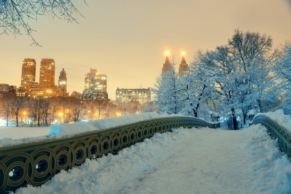 Central Park winter New York City