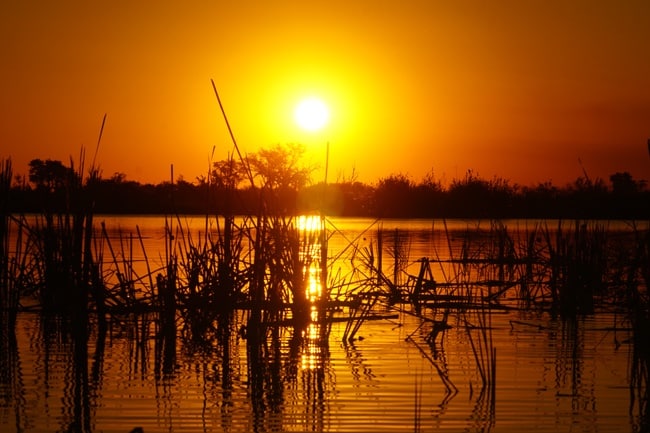 Okavango Delta Botswana Sunset