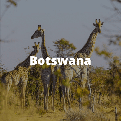 Botswana Desintation Page Image