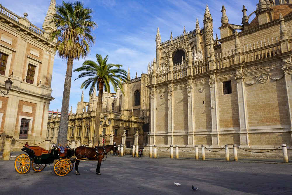 Ouside view of Cathedral of Seville with palm trees and a horse and carriage